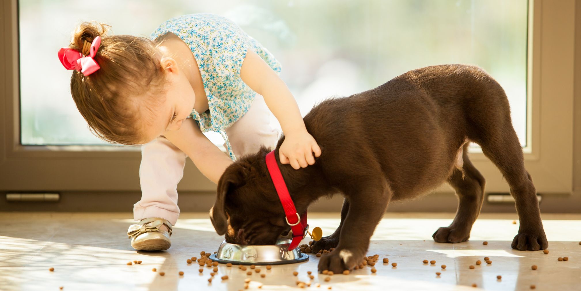 How Dogs Help Build a Child’s Character