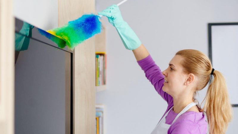 Effective Cleaning Strategies for Dealing with Summer Dust and Allergens