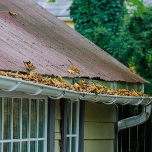Common Roofing Problems and How to Prevent Them